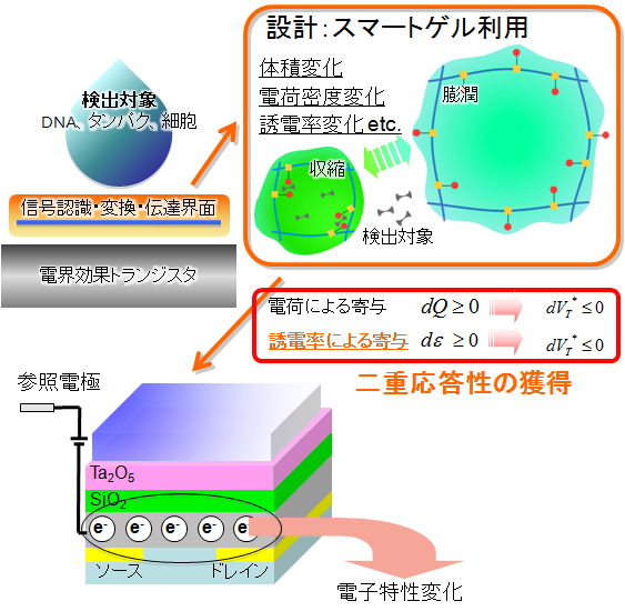 研究室探訪vol. 17 ［東京工業大学 小山・植之原・宮本研究室］